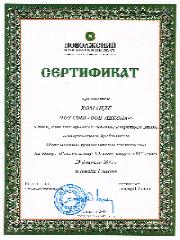 Победа в интеллектуальной игре