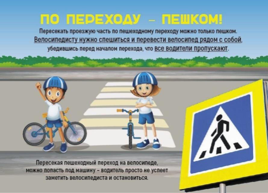 Информация о дорожно-транспортном травматизме