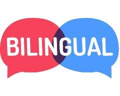 Новости билингвальной секции