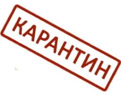 Изменения в режиме работы школы